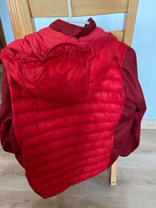 Chaqueta ligera / plumas chaleco y Manga fina