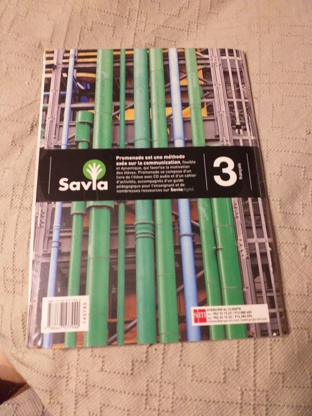 promende A2,3 secundaria