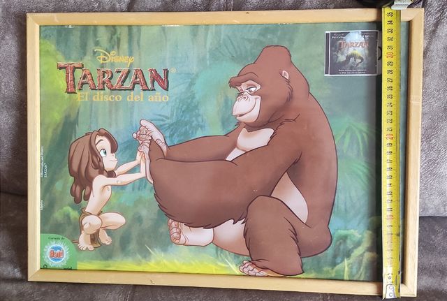 Cuadro con la lámina del juego de Tarzán.