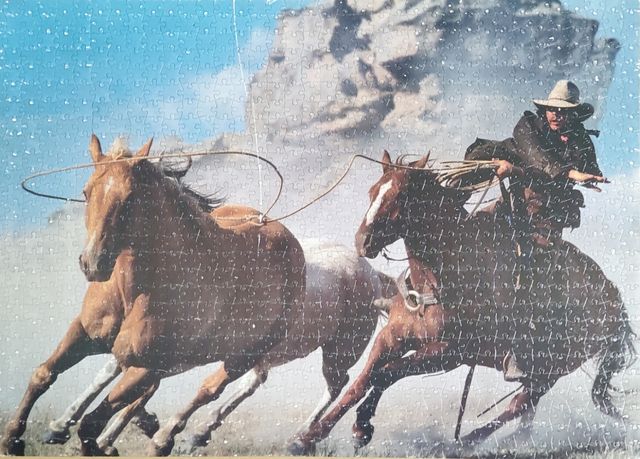 Puzzle/cuadro de un vaquero a caballo
