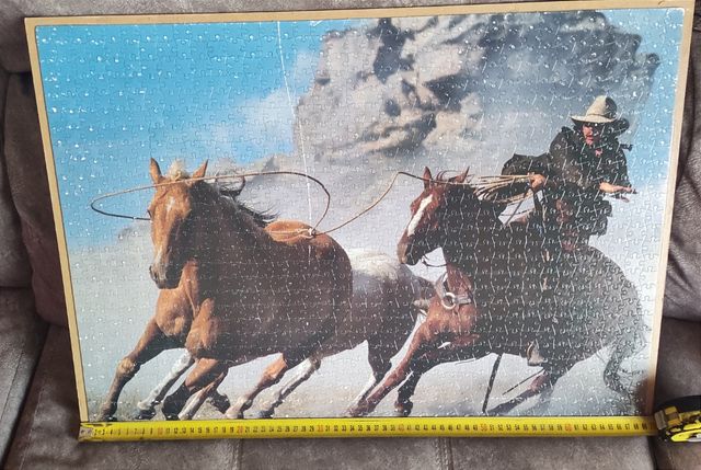 Puzzle/cuadro de un vaquero a caballo