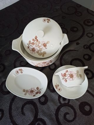 Conjunto vajilla Royal china Vigo