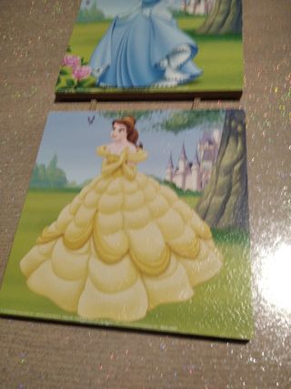 quadro principesse disney
