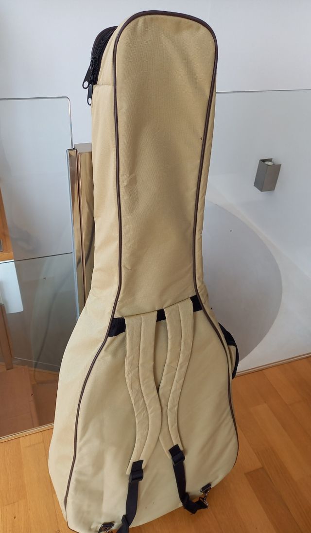 Guitarra acústica Gretsch Rancher Falcon