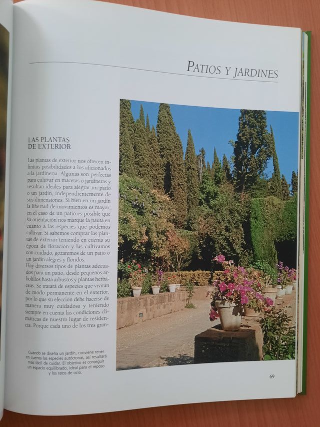 Libro 6 (5)