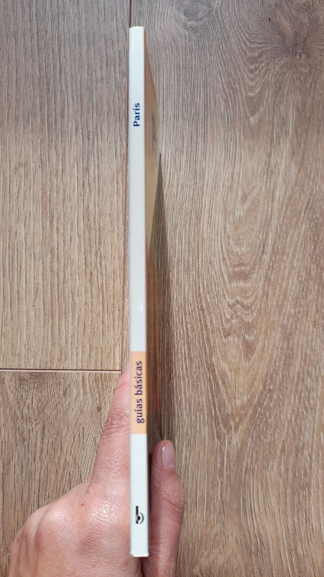 París  Guía  básica de viaje