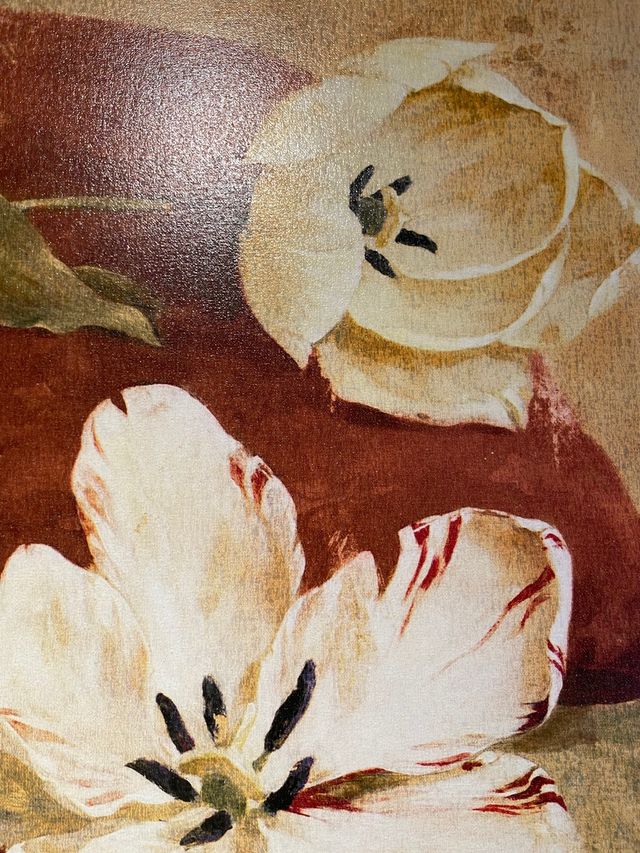 Magníficos lienzos numerados