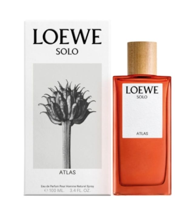 Loewe Solo Atlas