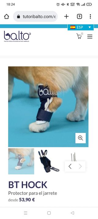 protector de jarrete prótesis para perro