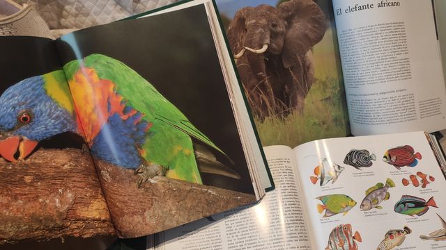 EL HOMBRE Y LA TIERRA Félix Rodríguez de la Fuente