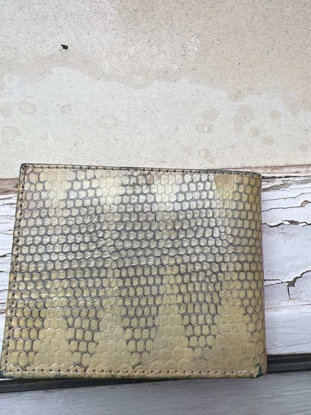 Carteira em pele de serpente
