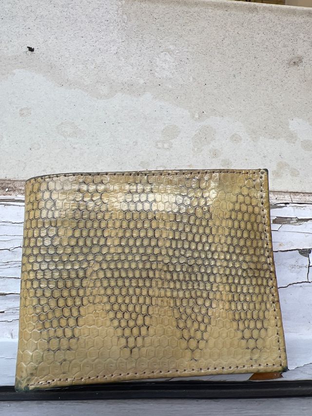 Carteira em pele de serpente