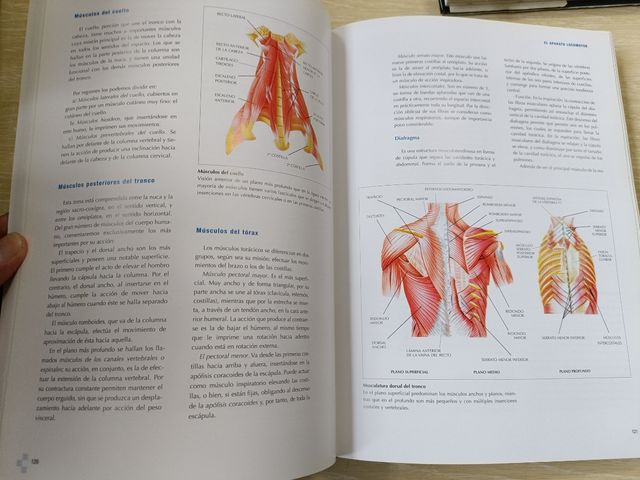 MANUEL DE ANATOMÍA Y FILOSOFÍA, MONSA, PRAYRA