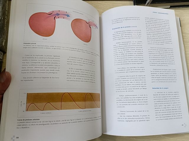 MANUEL DE ANATOMÍA Y FILOSOFÍA, MONSA, PRAYRA