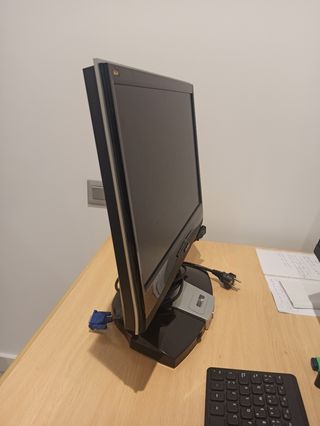 monitor 19"