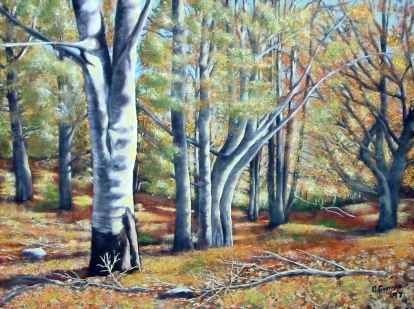 Oleo de bosque de hayas