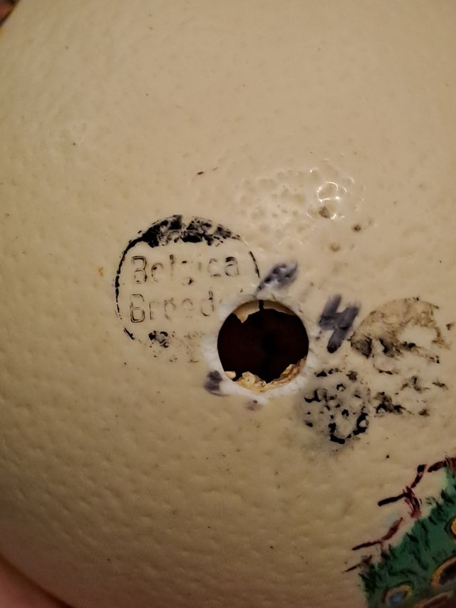 Huevos de Avestruz pintado a mano