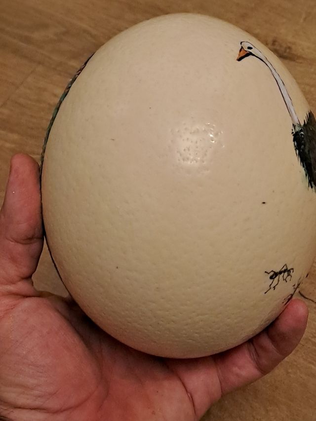 Huevos de Avestruz pintado a mano