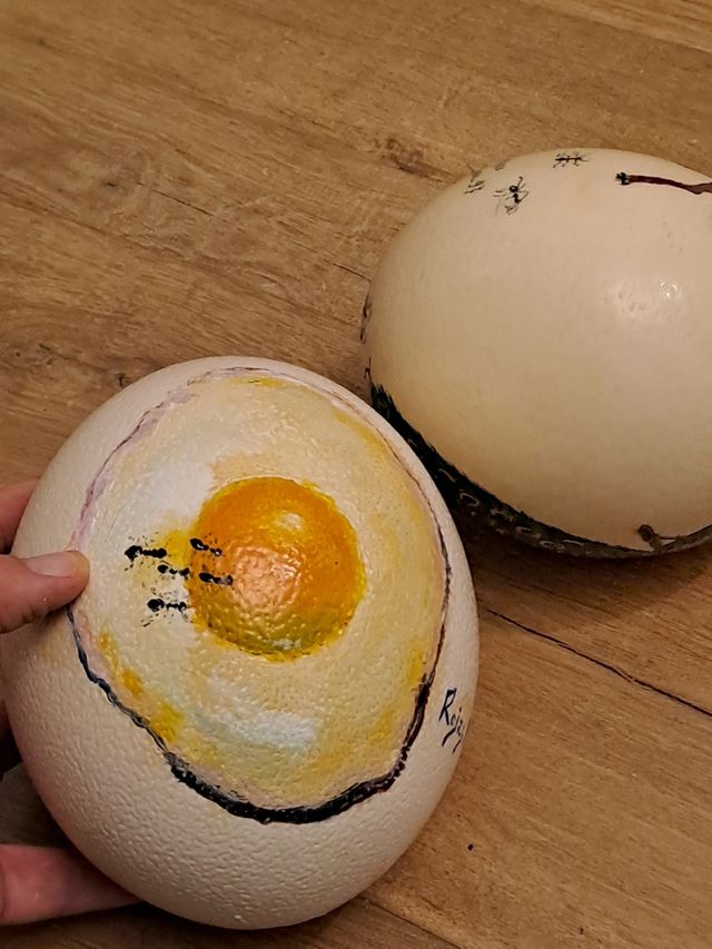 Huevos de Avestruz pintado a mano