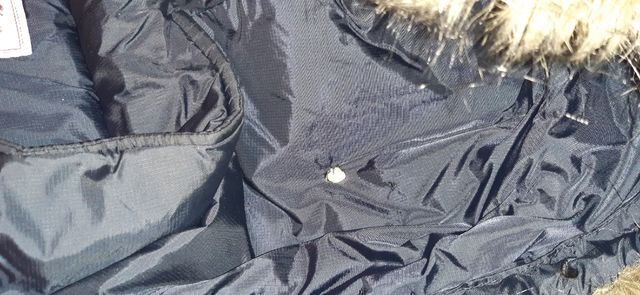 Cazadora Springfield XL