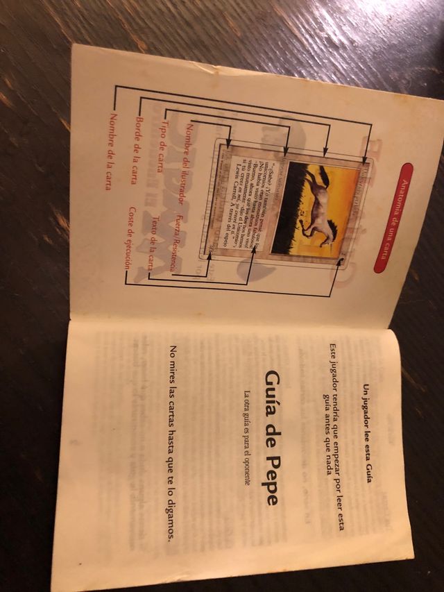 GUIA DE PEPE- MAGIC EL REENCUENTRO