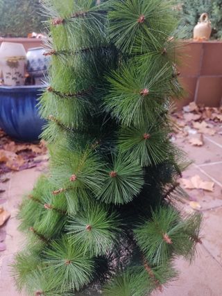 árbol de navidad pequeño