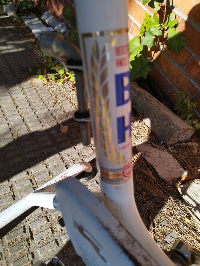 bicicleta antigua de spinning BH