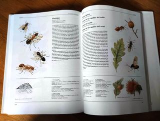 LIbro de animales