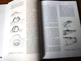 LIbro de animales