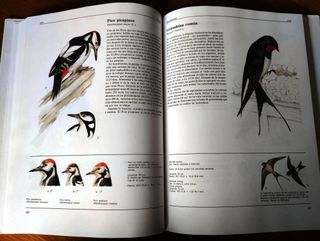 LIbro de animales