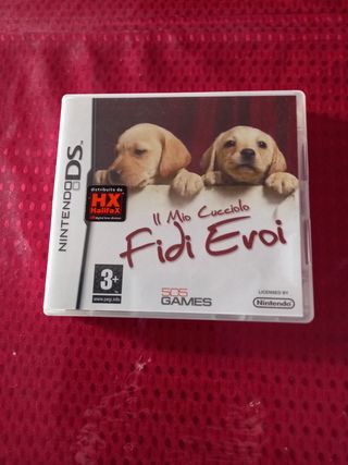 gioco nintendo ds 