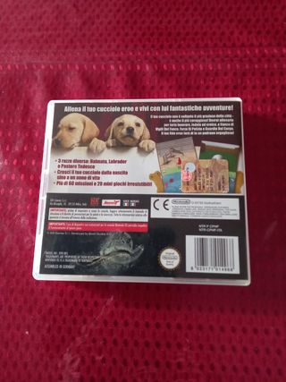 gioco nintendo ds 