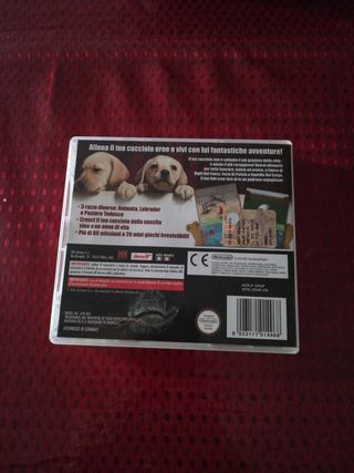 gioco per Nintendo ds