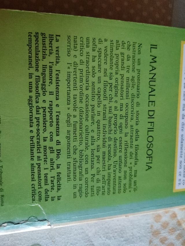 Il manuale di filosofia con tavole a fumetti