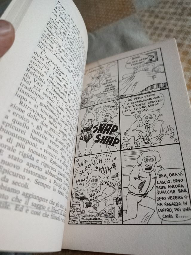 Il manuale di filosofia con tavole a fumetti