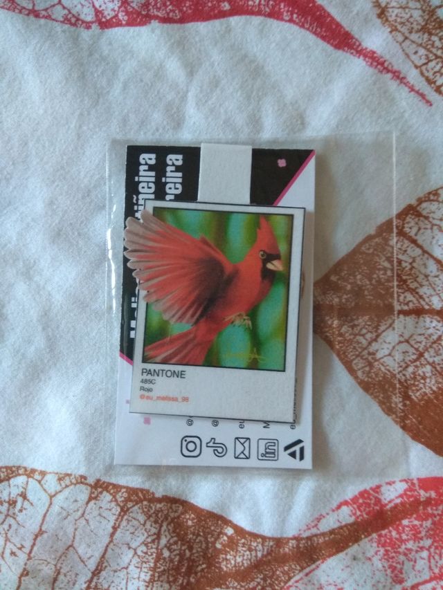 Marcapáginas magnéticos