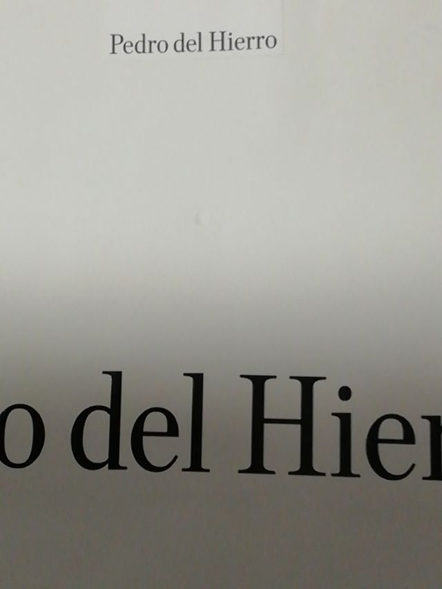 Bolsa Pedro del Hierro