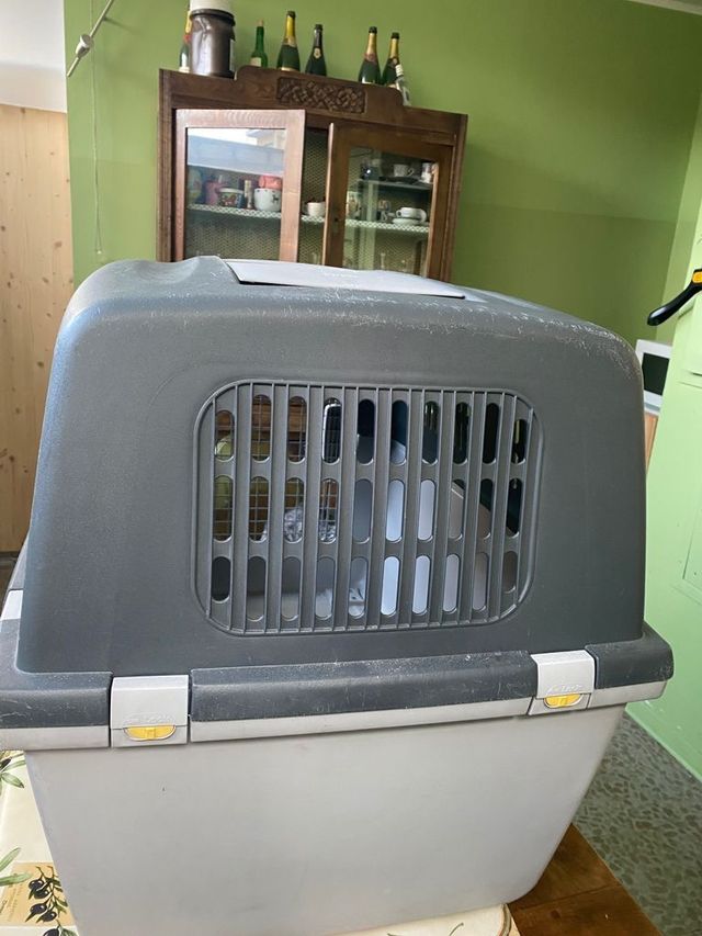 kennel per auto