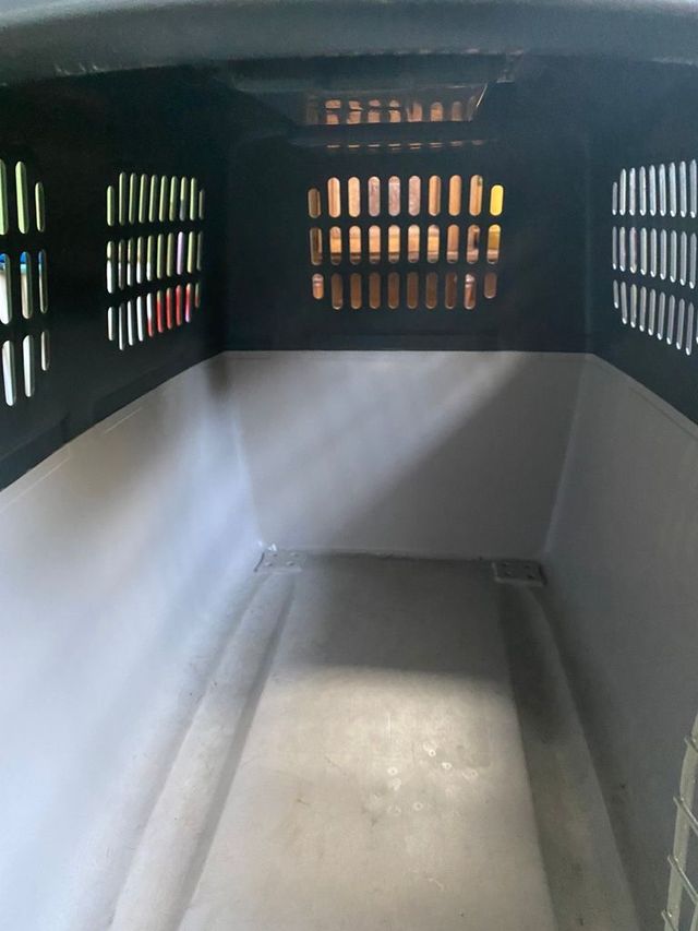 kennel per auto