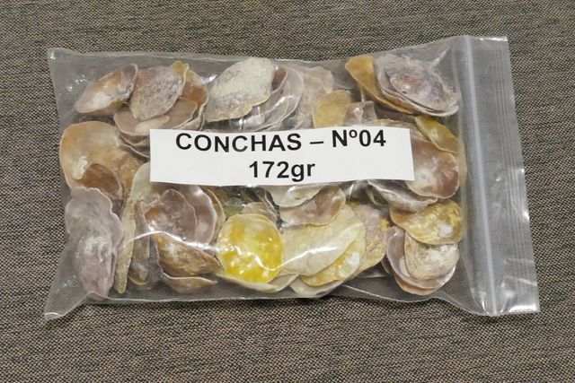 Bolsas de Conchas Marinas