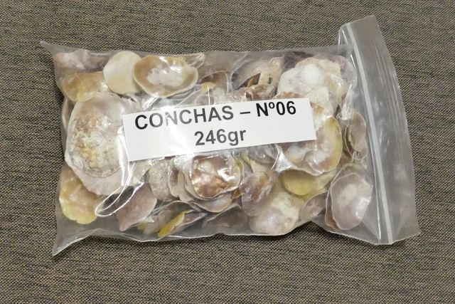 Bolsas de Conchas Marinas