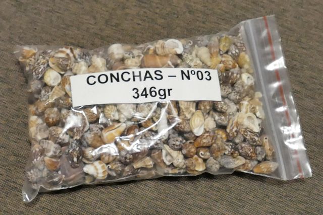 Bolsas de Conchas Marinas
