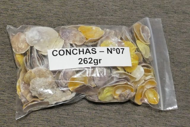 Bolsas de Conchas Marinas