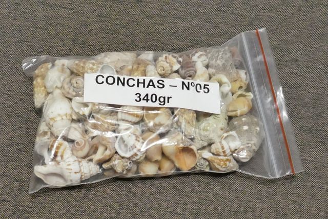 Bolsas de Conchas Marinas