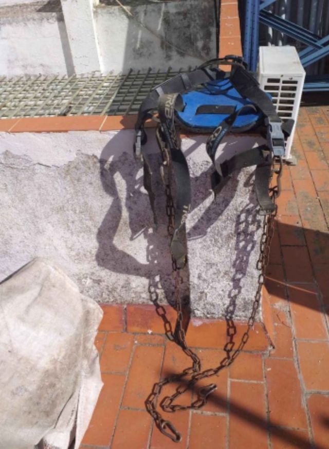 rastrillo  para coquinas