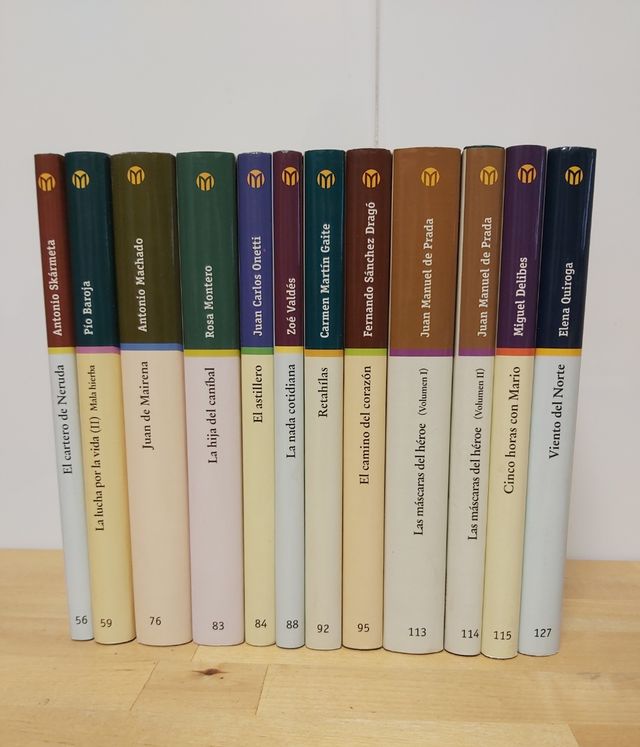 Lote de 12 libros (2 euros cada uno)