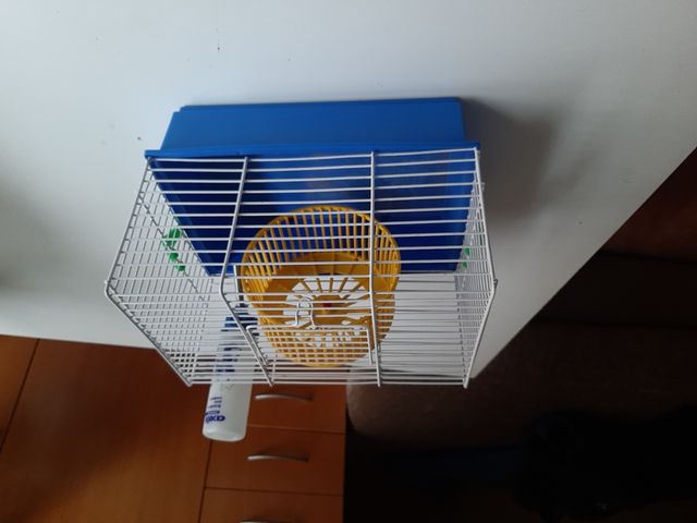jaula hámster