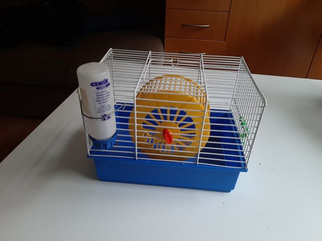 jaula hámster