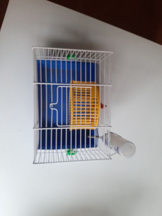 jaula hámster