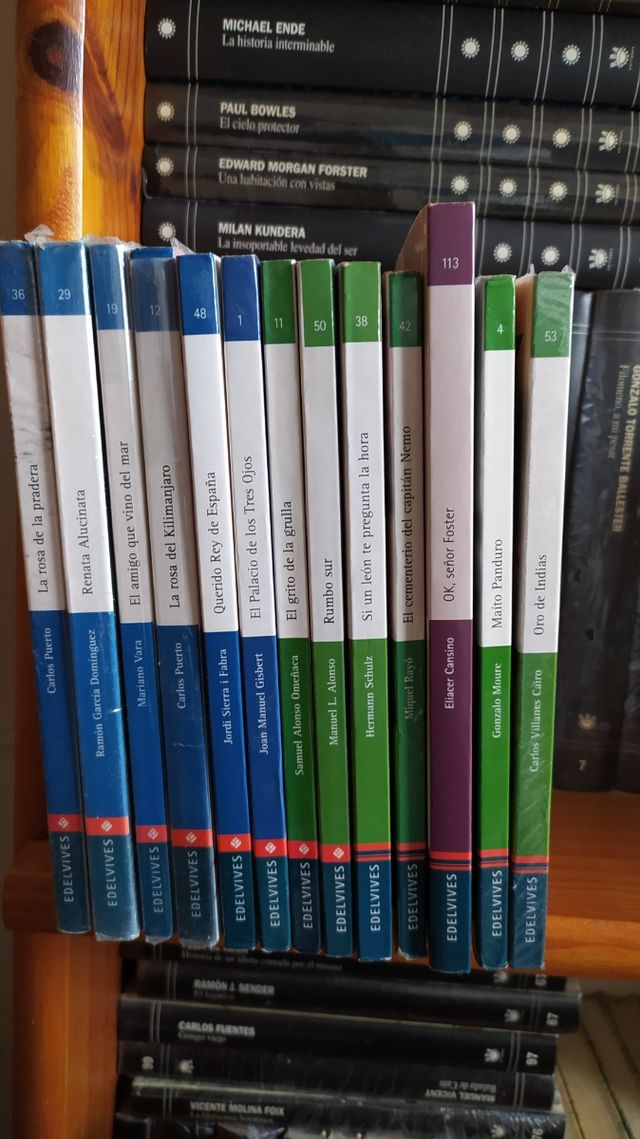 Libros lectura Edelvives